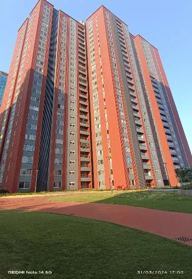 Progress Photographs - Zenith – Elevation