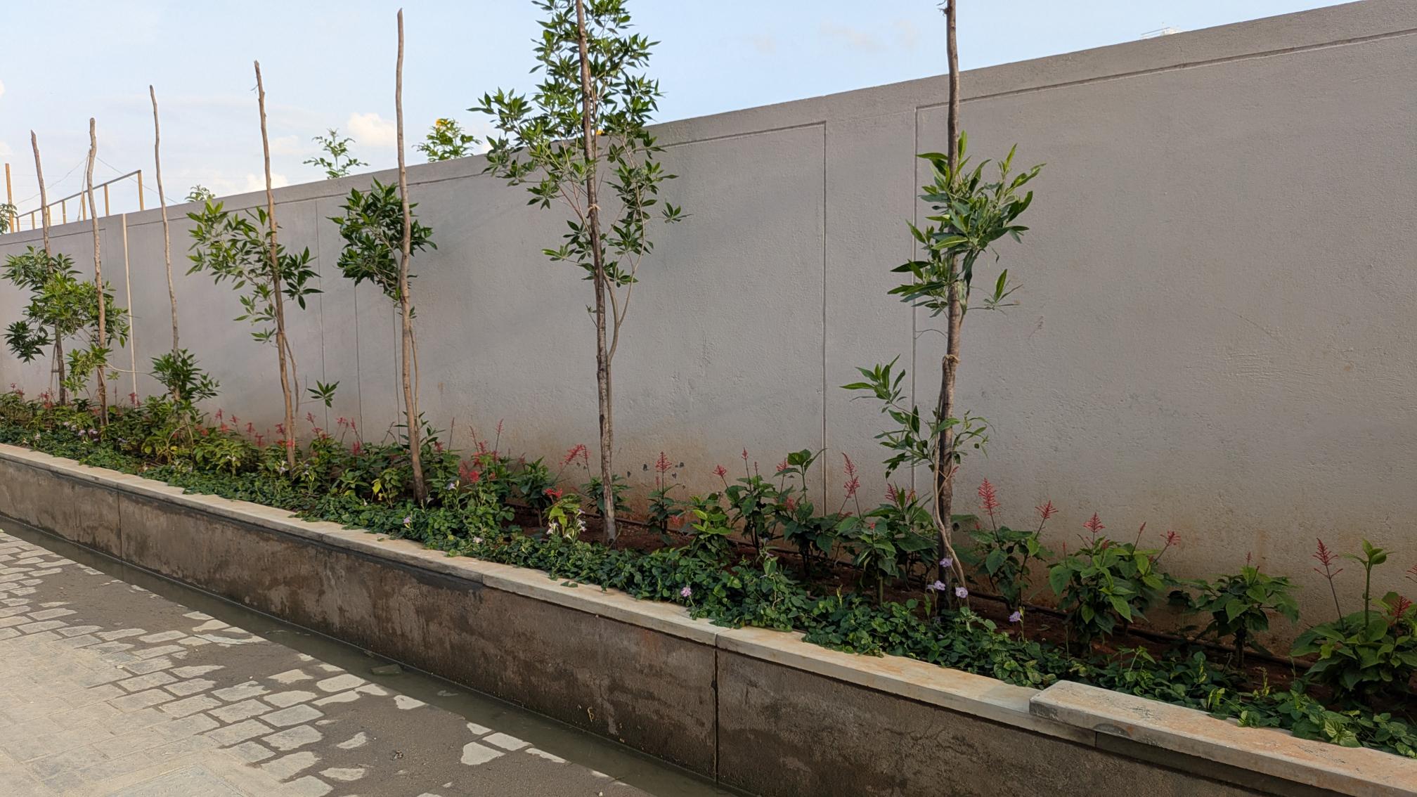 4 Acre – Planting in Progress