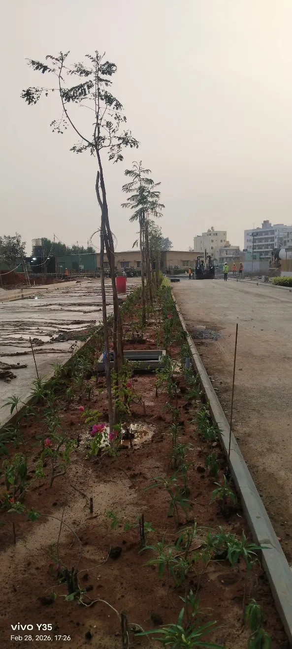 Project Progress Photographs CDP Road Planting