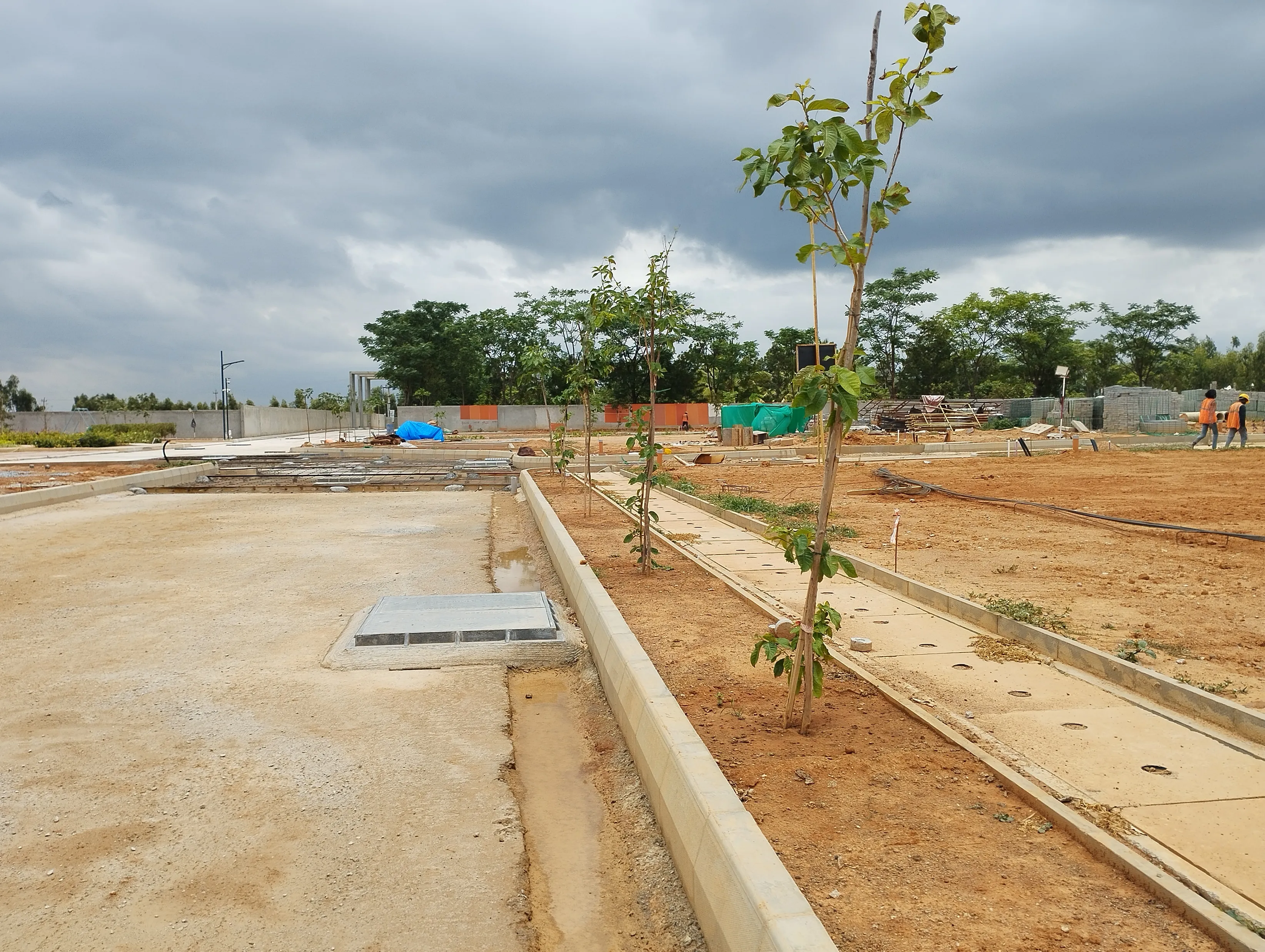 Tree Planting Works
