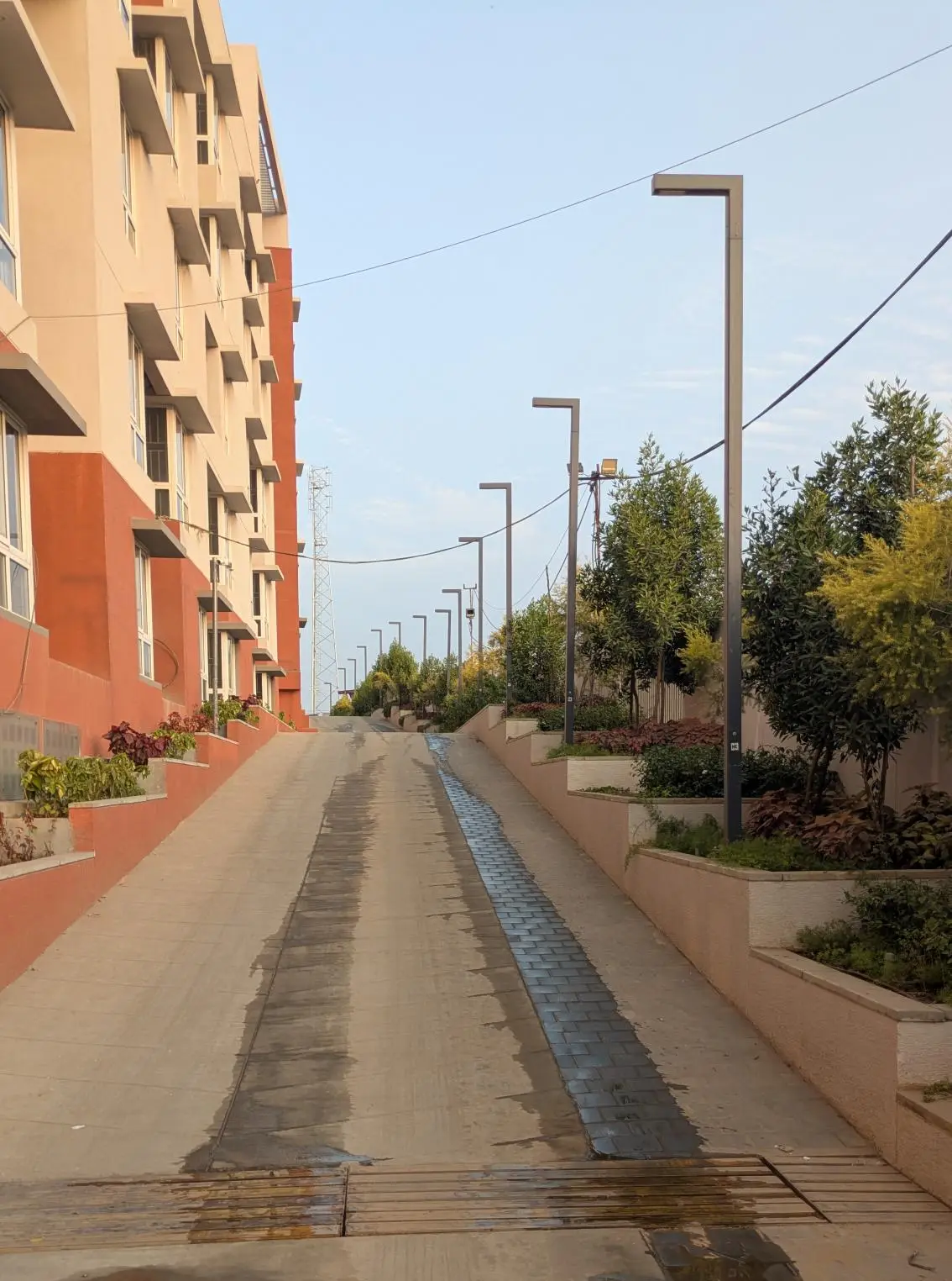 4 Acre – South Driveway, Planting & Electrical Pole