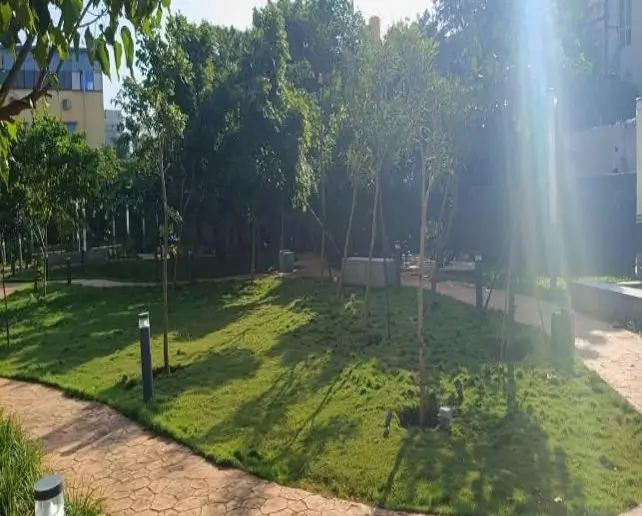 External Development