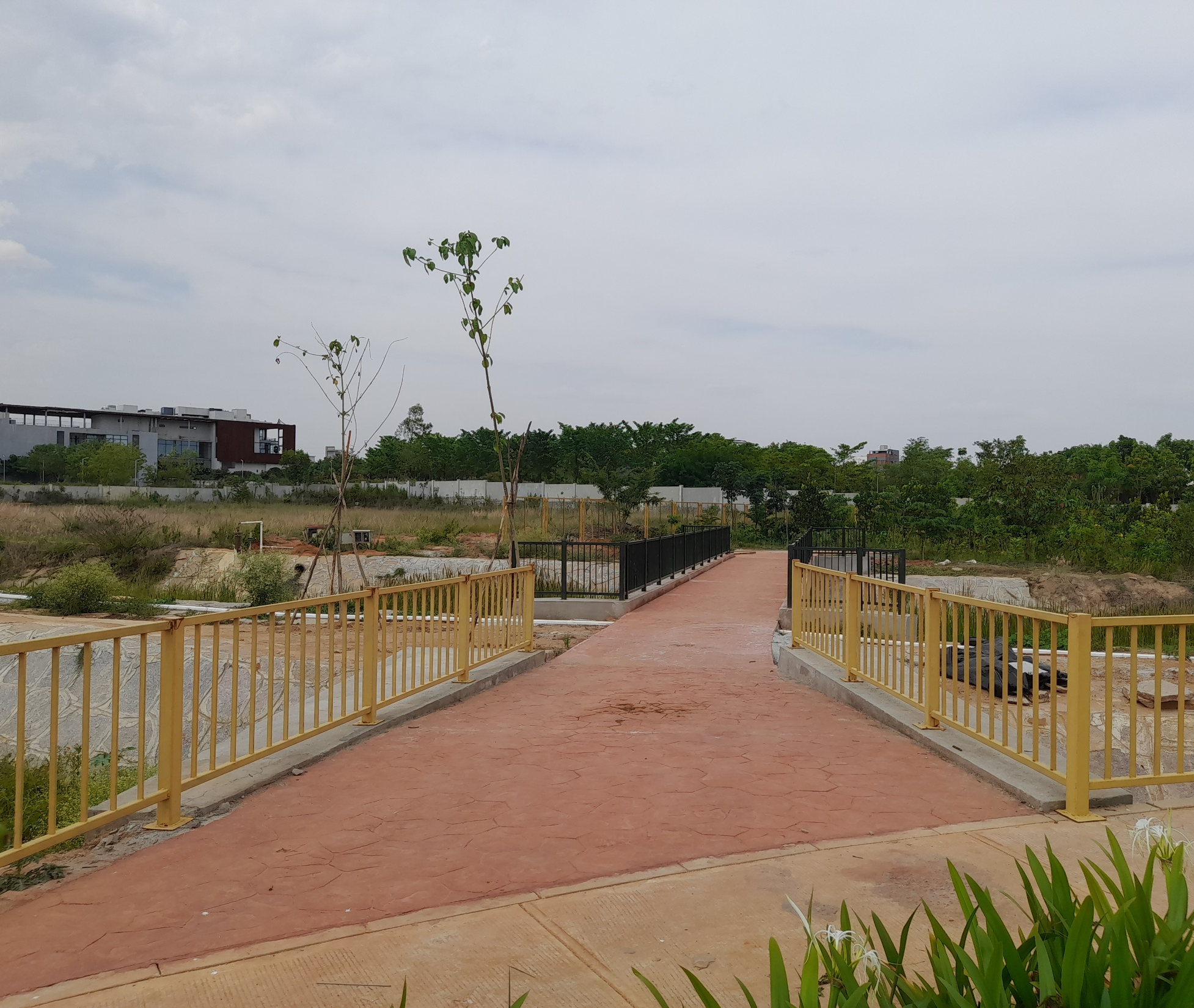 Bridge across the Storm water drain