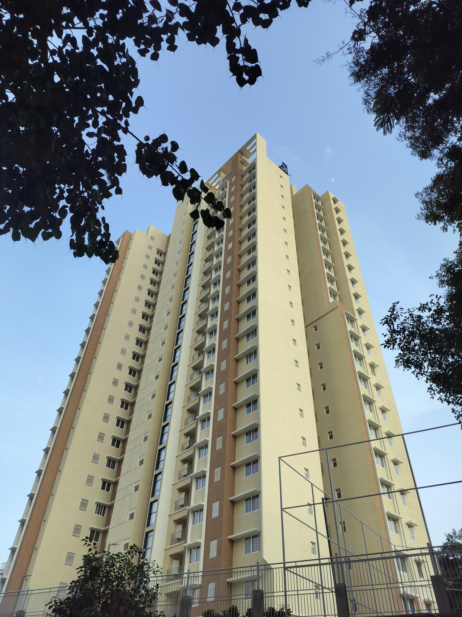 Project Progress Photos