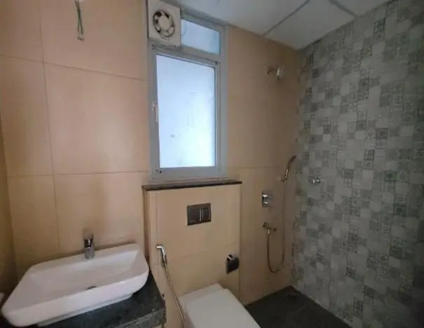 Progress Photographs