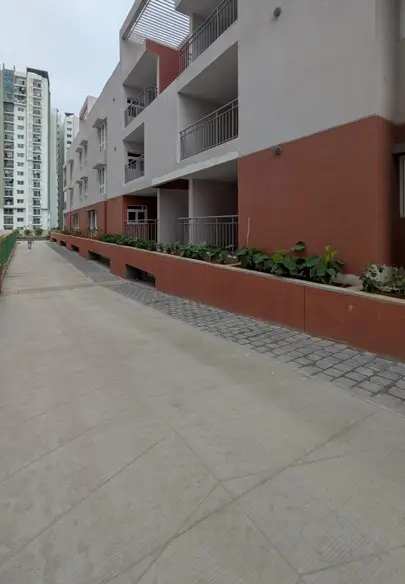 4 Acre – West Driveway, Planting