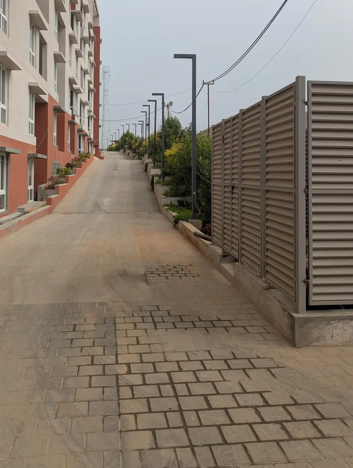 4 Acre – South Driveway, Planting & Electrical Pole