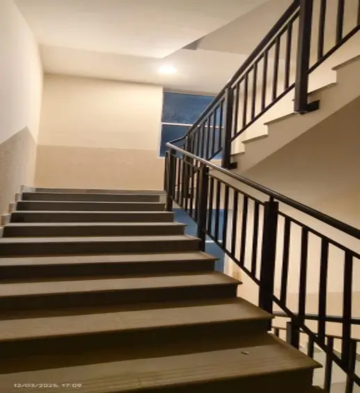 Progress Photographs