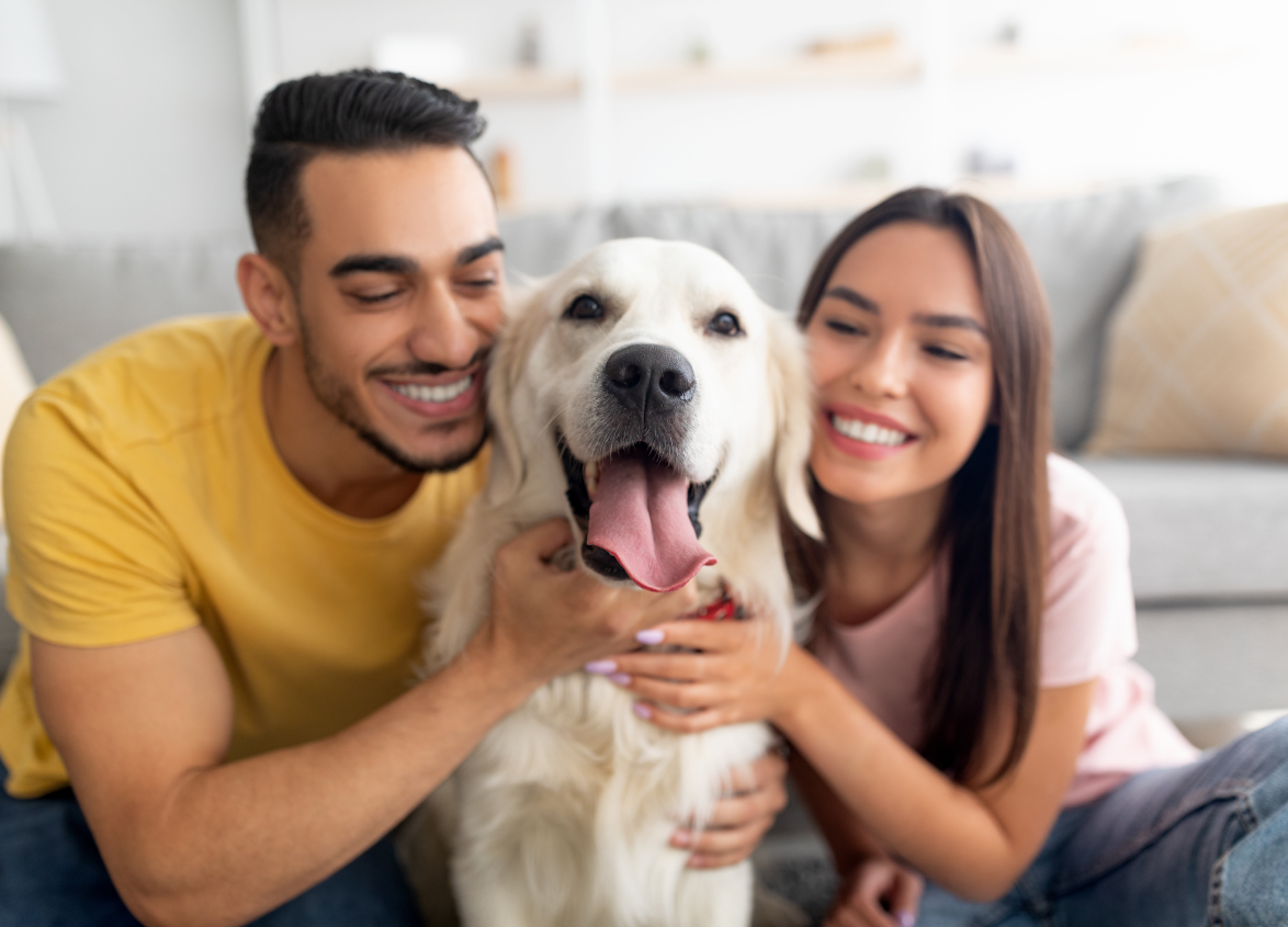 Pet Rules in Housing Society: Rights and Responsibilities of Pet Owners