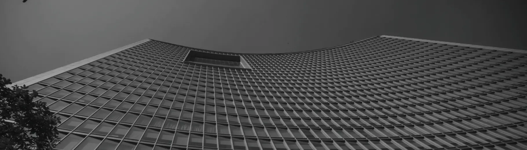 Investors Information