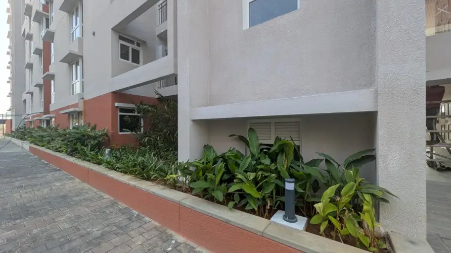 1 ACRE – PLANTING