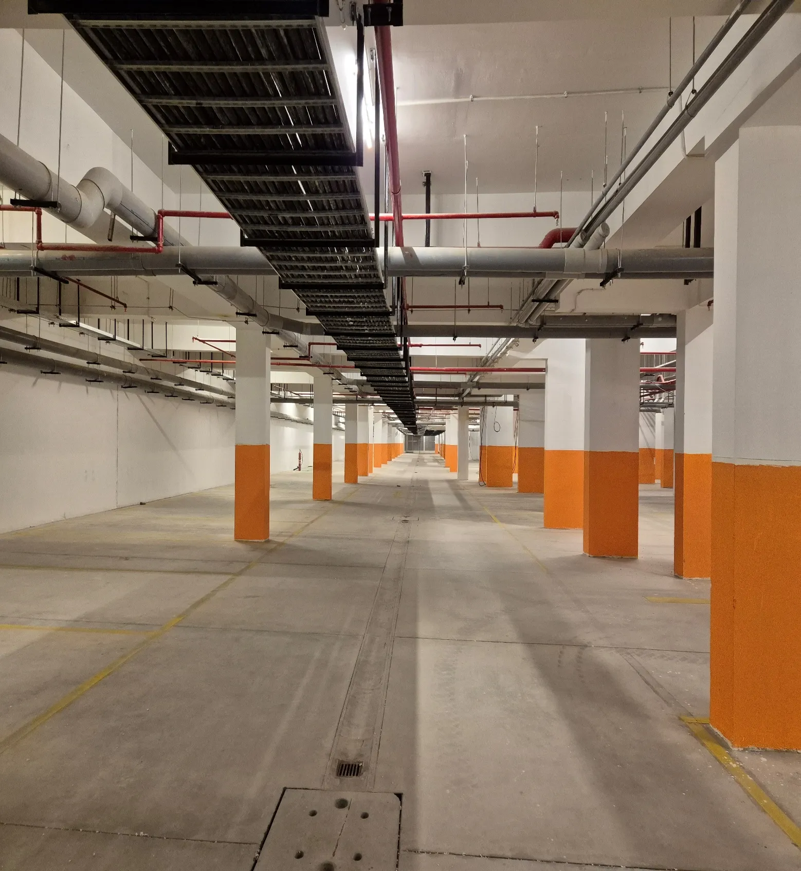 Ivory Phase 1 Basement