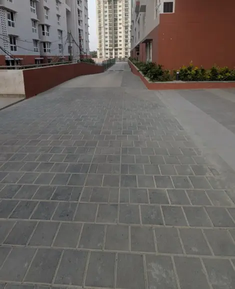 4 ACRE – WEST DRIVEWAY, PLANTING