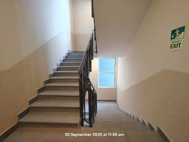 Project Progress Photos