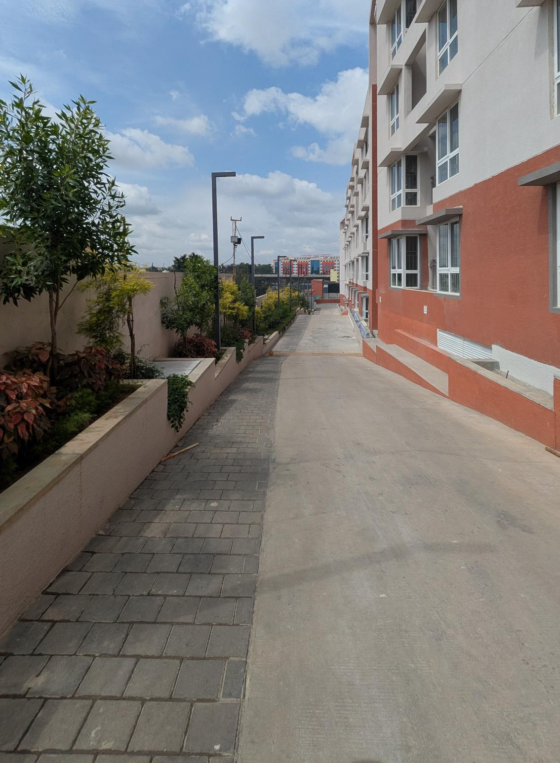 4 Acre – South Driveway, Planting & Electrical Pole