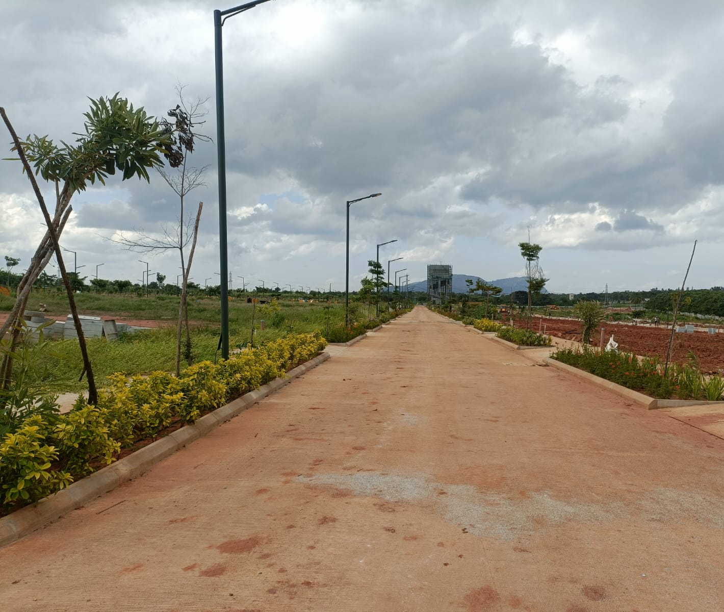 Phase - 3 : Progress Photos