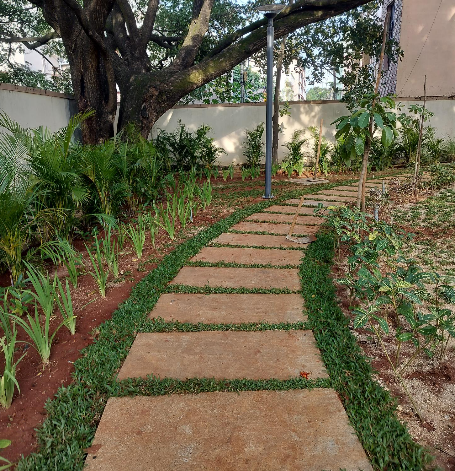Amenities Area hardscape and softscape works are completed.