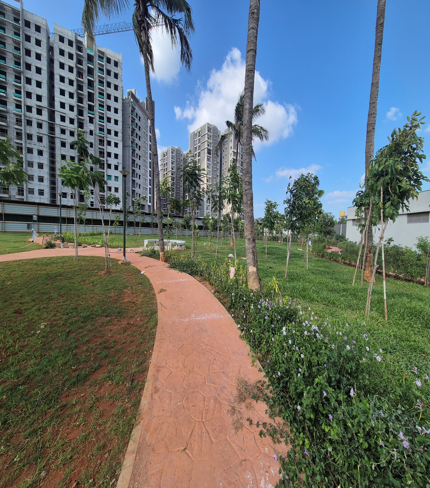 Clubhouse -  External Development Work in Progress