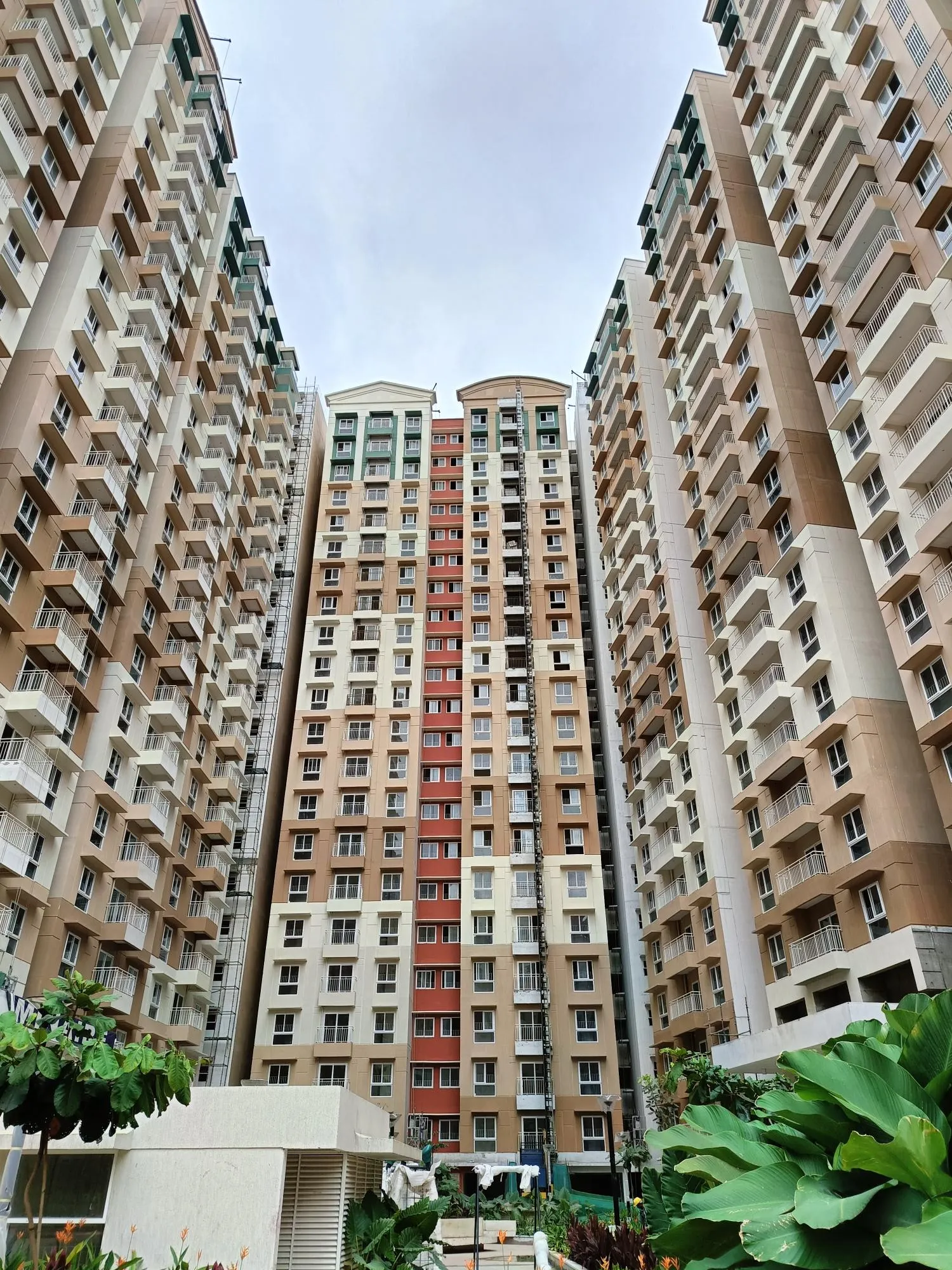 Wing B:  Above Terrace level painting work