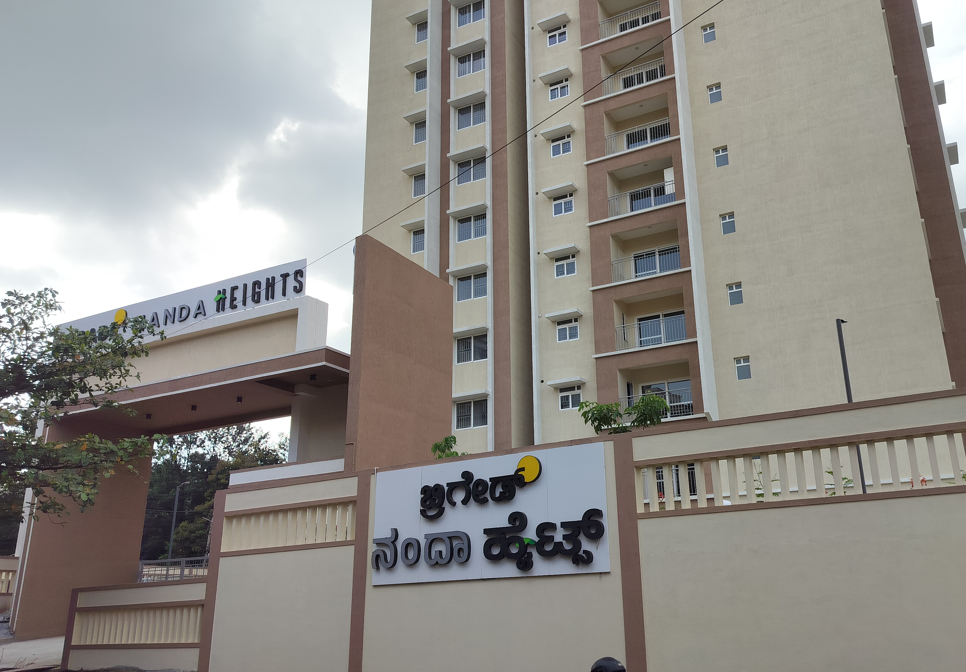 Project Progress Photos