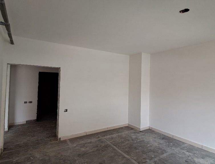 Internal flats Painting Work in progress