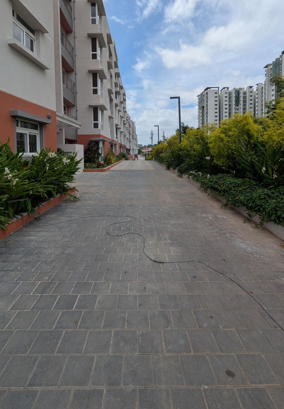 4 Acre – North Driveway, Planting & Electrical Pole