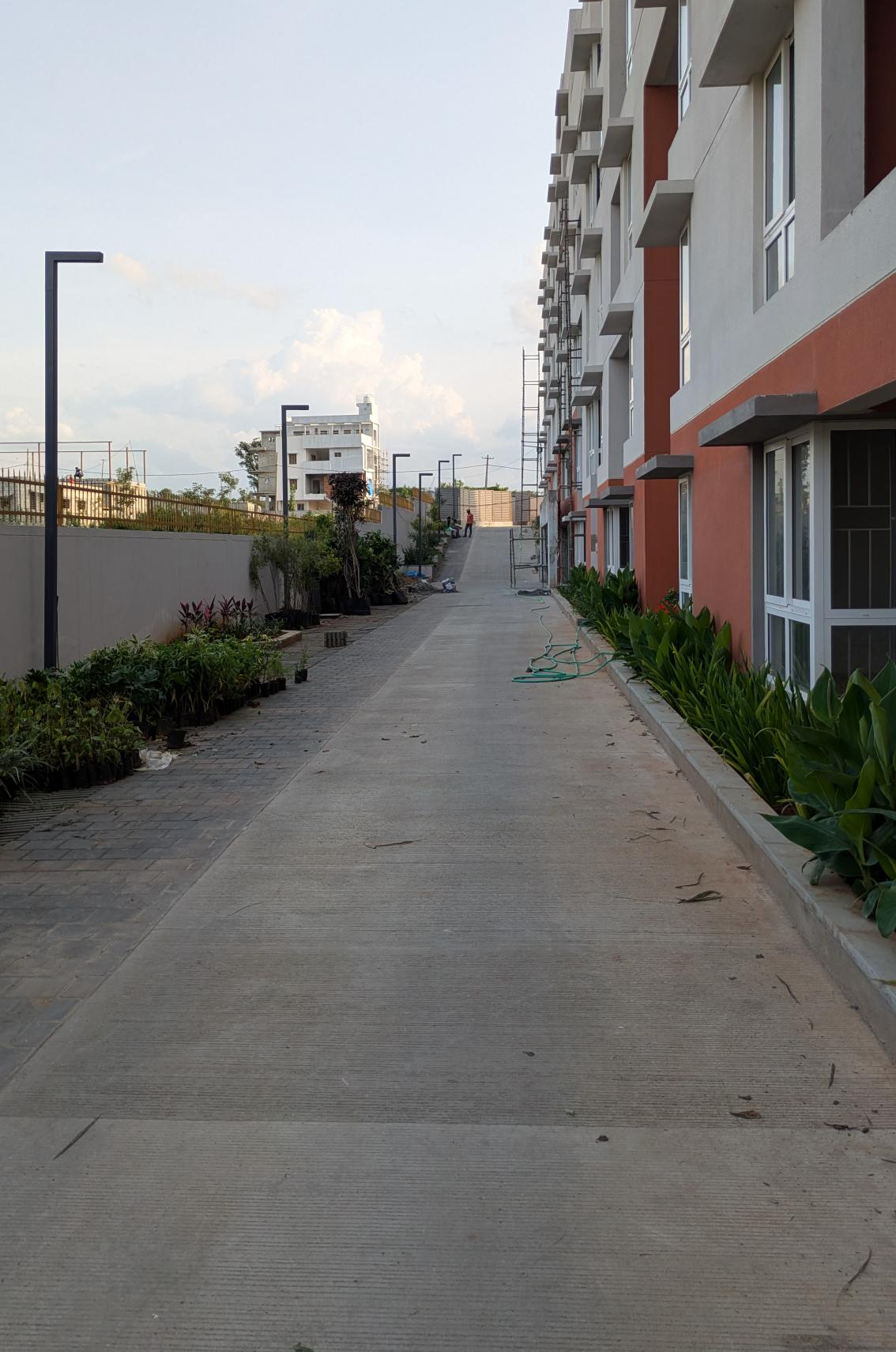 4 Acre – East Driveway Finishing Works, Planting, Electrical Pole